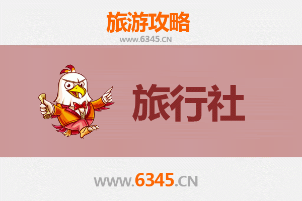 郑州中原本地旅行社推荐：探索千年商都的文化与自然之旅